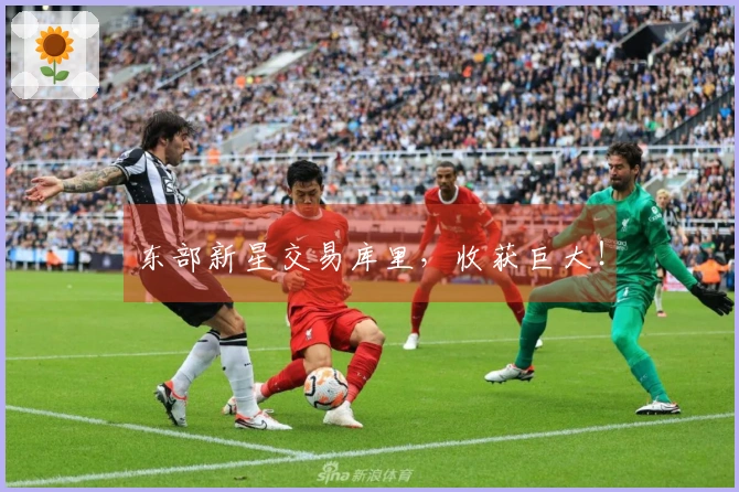 东部新星交易库里，收获巨大！