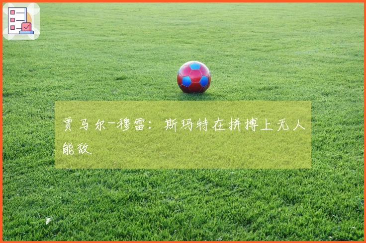 贾马尔-穆雷：斯玛特在拼搏上无人能敌
