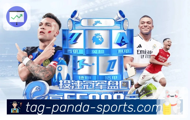 熊猫体育 品牌合作